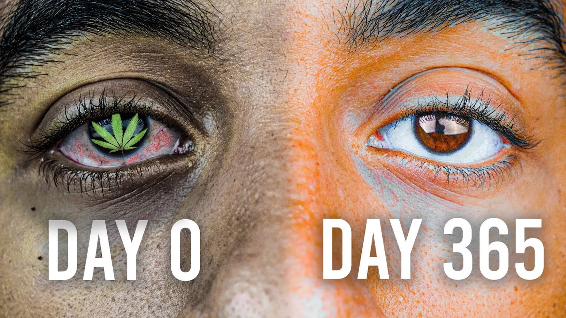 365 Days Without Weed: The Best Year Of My Life Preview