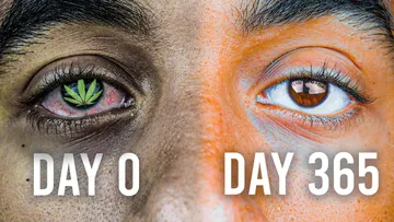 365 Days Without Weed: The Best Year Of My Life Preview