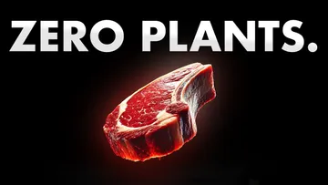 Why is this Healing People? Preview