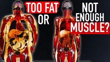 Are you Too Fat or just Too Weak? Preview
