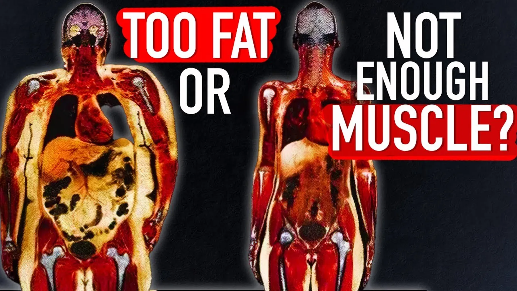 Are you Too Fat or just Too Weak? Preview