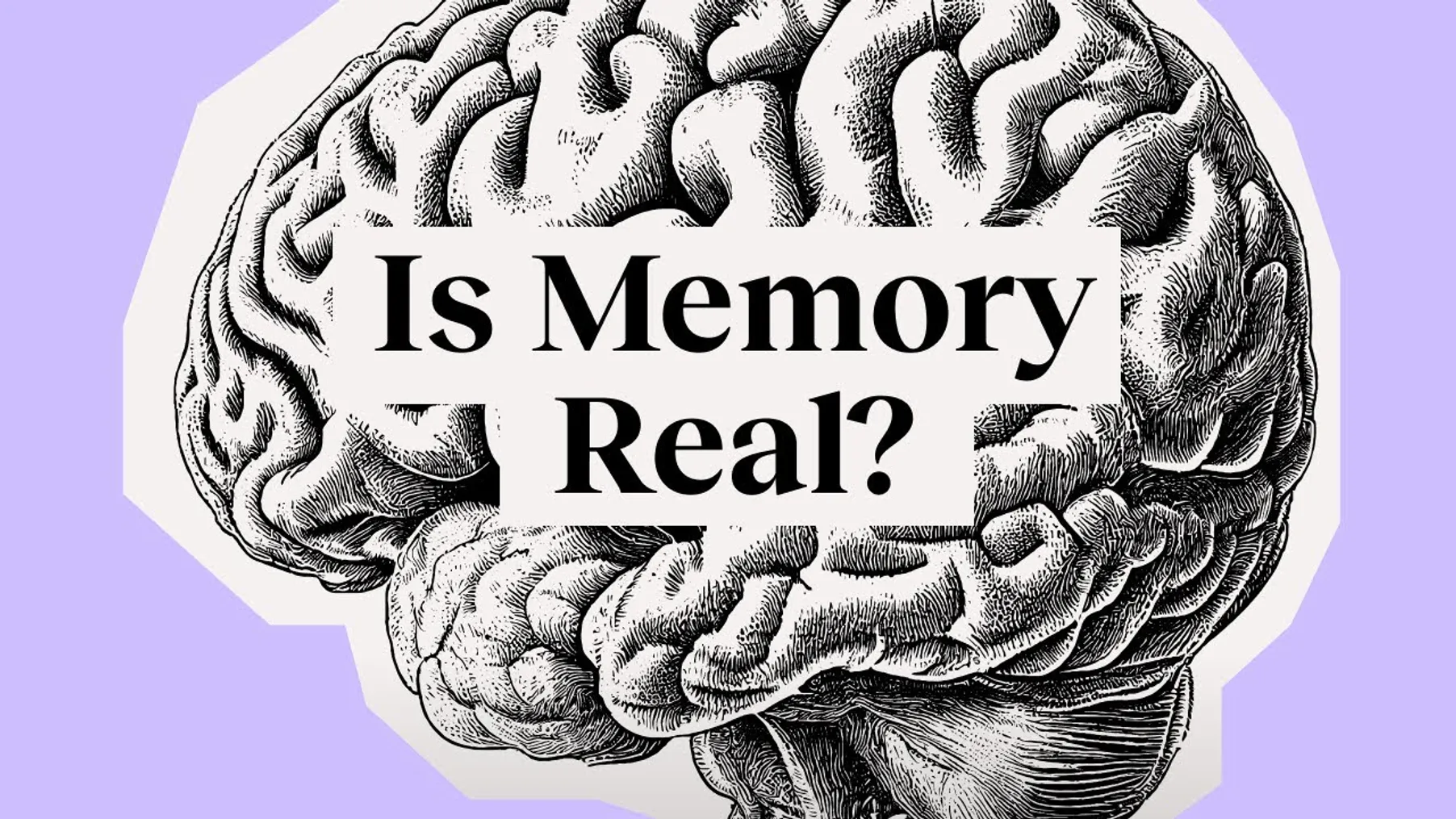 Can you trust your memory? This neuroscientist isn’t so sure | André Fenton Preview