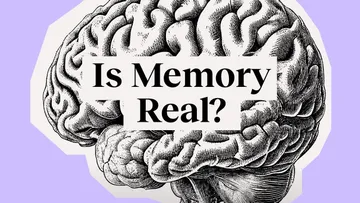 Can you trust your memory? This neuroscientist isn’t so sure | André Fenton Preview