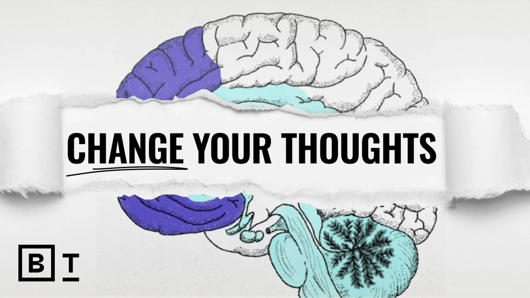 A neuroscientist’s guide to reclaiming your brain | Nicole Vignola Preview