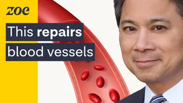 Heart expert: dementia may start in your blood vessels — here’s how to prevent it. | Dr. William Li Preview