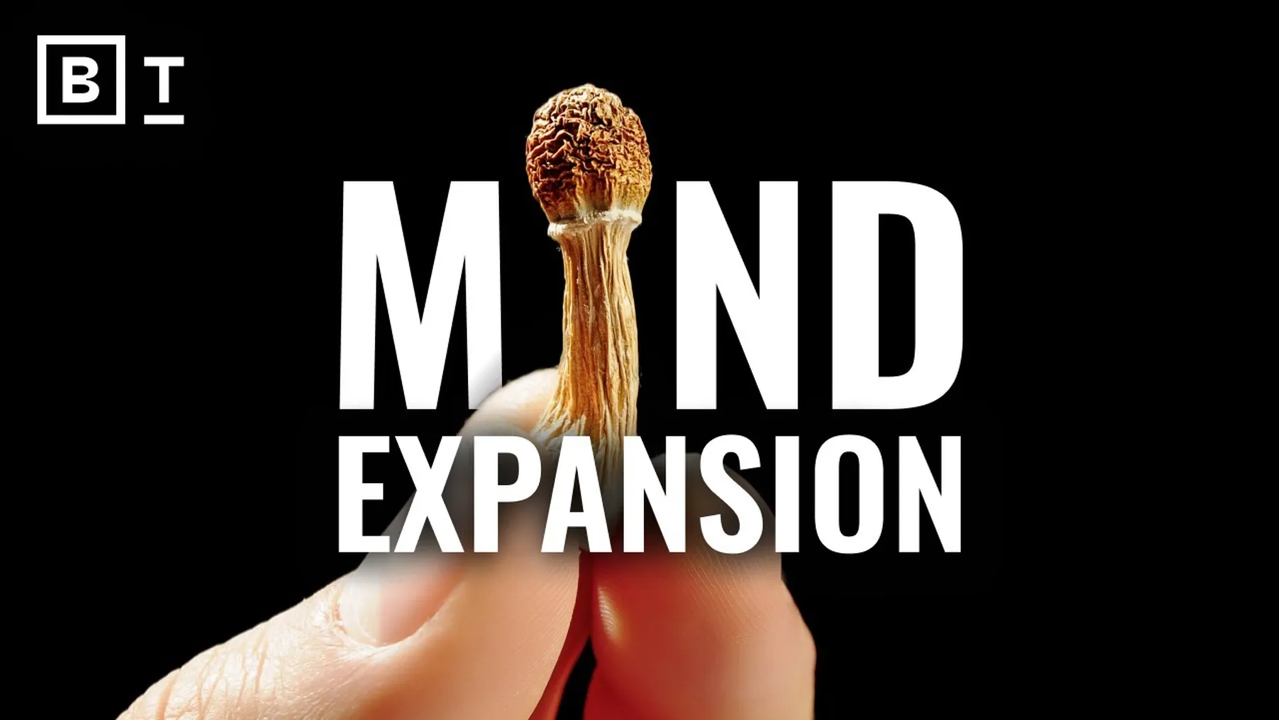 Try psychedelics. Access transcendence. | James Fadiman Preview