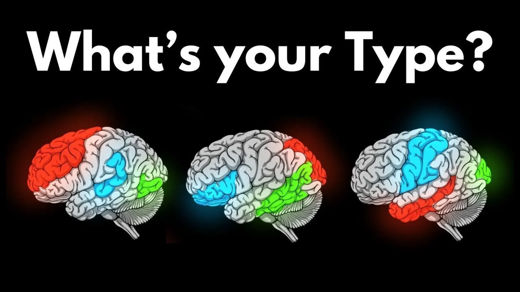 What Type of Brain Do You Have? Preview