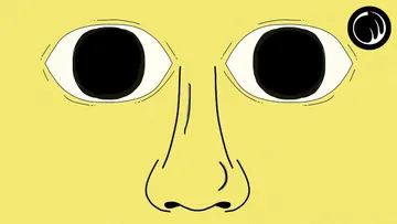 A Thought Experiment That Will Change How You Think About Your Existence | René Descartes Preview