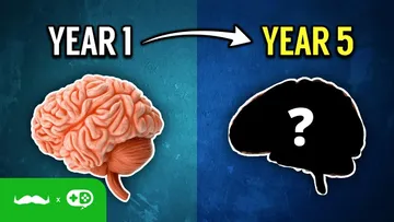 How Years Of Gaming Affects Your Brain Preview