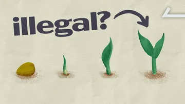 Why American Farmers (And Shoppers) Pay Higher Prices Preview