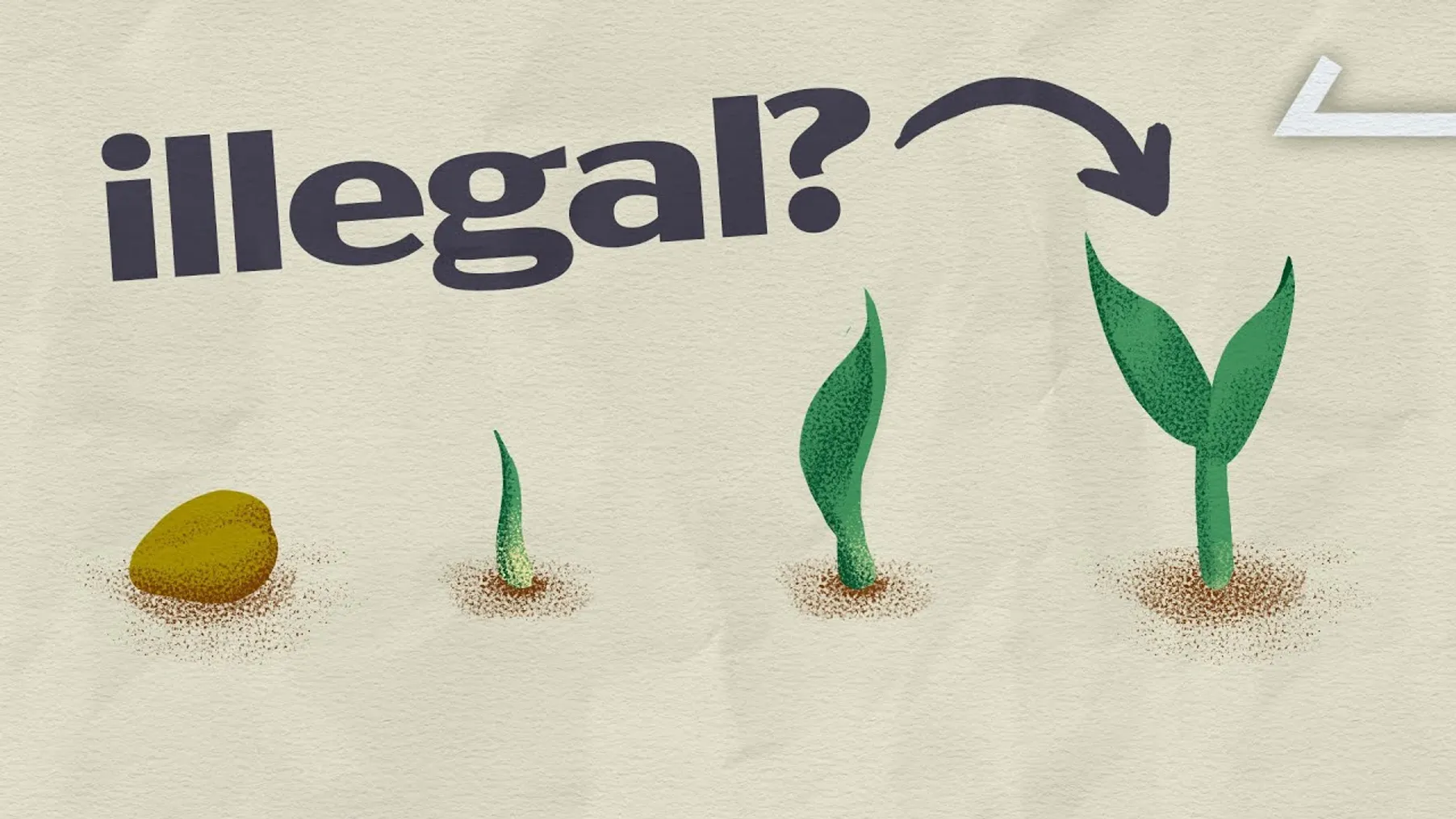 Why American Farmers (And Shoppers) Pay Higher Prices Preview