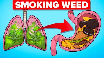 What Happens To Your Body When Smoking Weed Preview