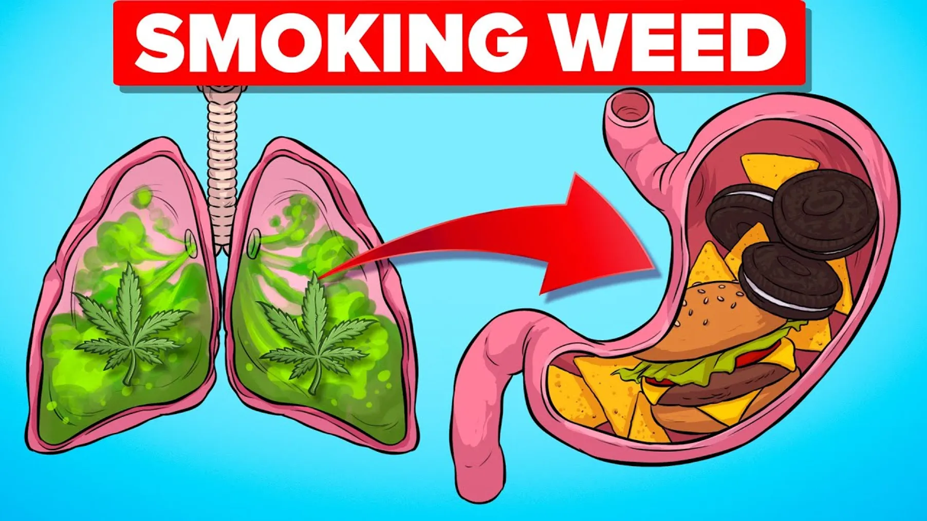 What Happens To Your Body When Smoking Weed Preview