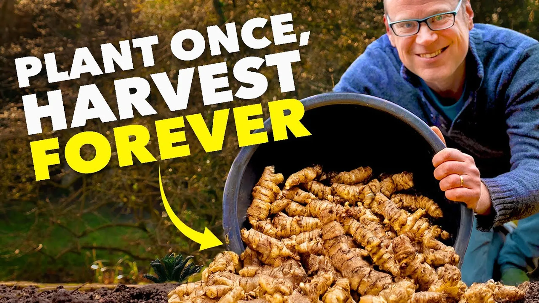 This Crop is WAY Better Than Potatoes (And No One Grows It!) Preview